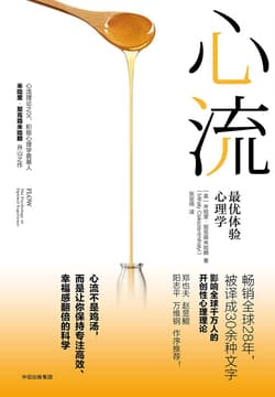 《心流》封面
