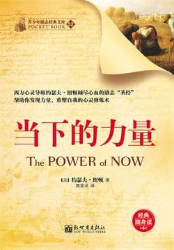 《当下的力量》封面
